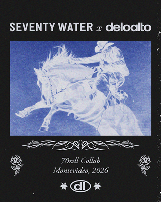 Remera Caballos 70xdl - 4