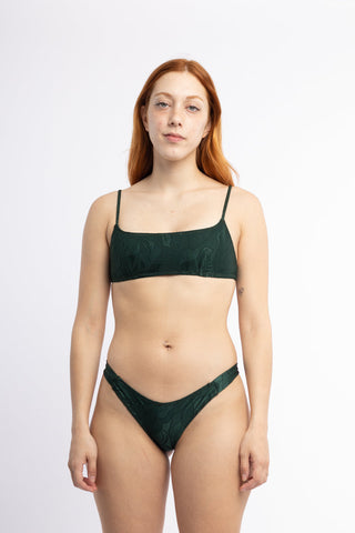 Bottom clasica  - Textura Hojas