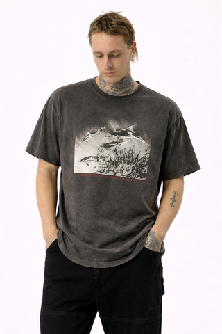 Remera delfines gris