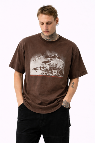 Remera delfines choco